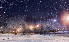 在第一场雪下的夜间城市公园