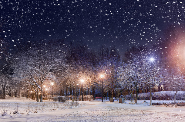 在第一场雪下的夜间城市公园