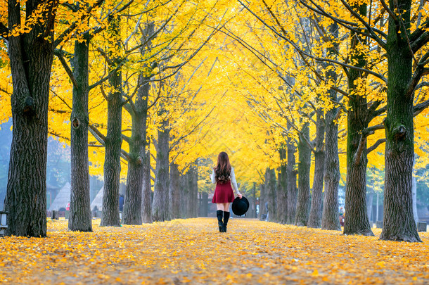 黄色的叶子在纳米岛，韩国的漂亮女孩.