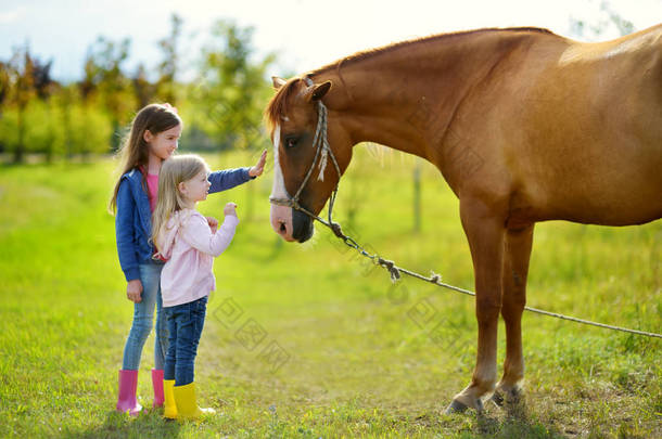 两个可爱的小姐妹，抚摸着一匹马 