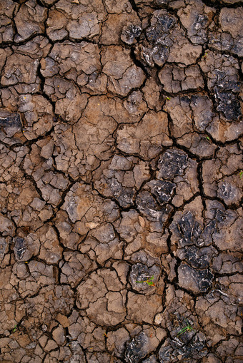 旱地土壤干旱和泥裂缝图片