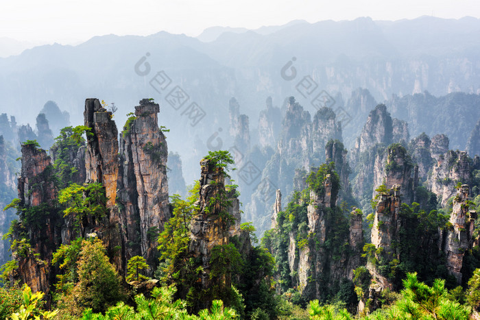 惊人的石英砂岩柱 （阿凡达山观点)