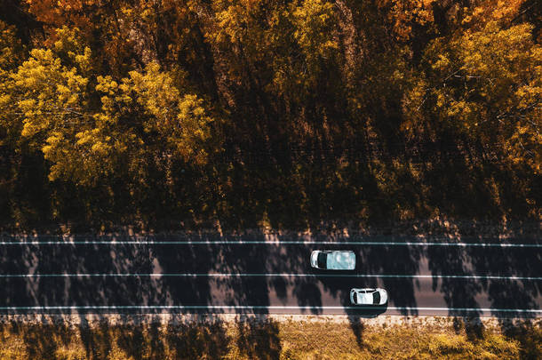 秋季在穿过<strong>森林</strong>的道路上的两辆白色汽车的鸟图, 无人机的观点就在正上方