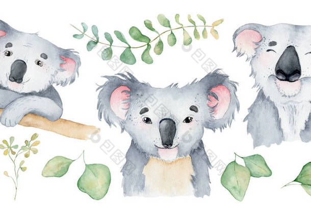 考拉熊可爱的动物字符水彩插图