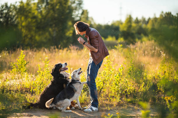 一个年轻人带着两只狗在夏天的田野上与伯尔尼山狗和牧羊人散步的肖像