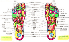 脚的针刺地图
