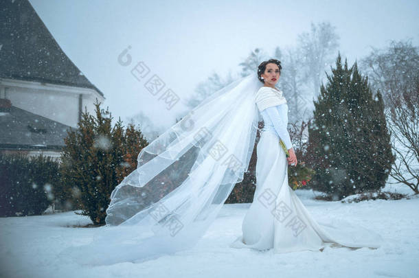 美丽的新娘的画像在冬天公园