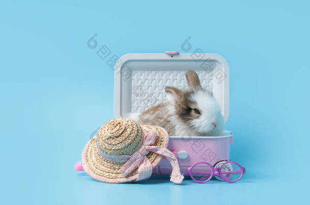 快乐的毛茸茸的兔子旅行者，蓝色背景的行李和夏帽，<strong>粉色</strong>行李箱中可爱的兔子，宠物和探险之旅<strong>世界</strong>之旅
