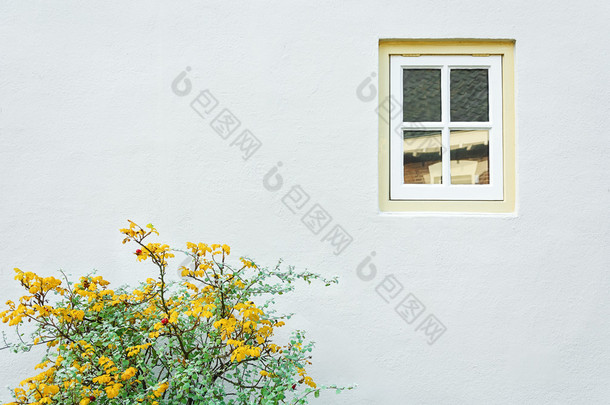 白宫墙、 窗户、 黄色绿色的植物