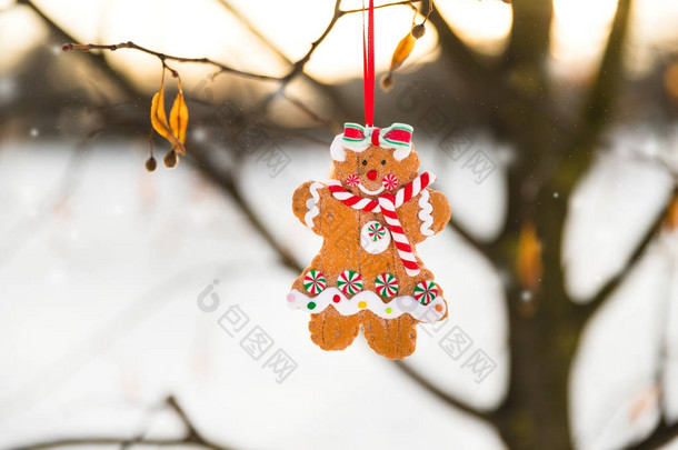 圣诞贺卡与姜饼人饼干玩具挂在树枝上