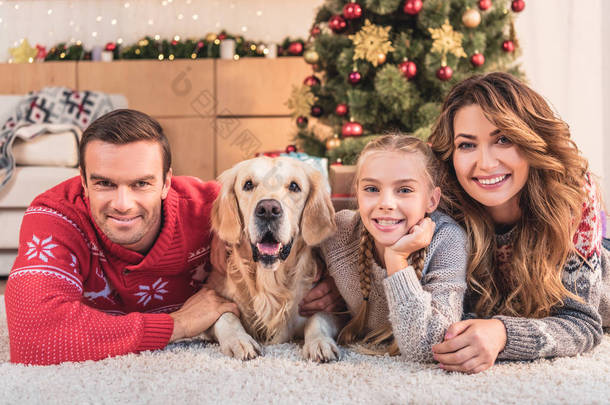 家庭与金猎犬<strong>狗</strong>躺在附近的圣诞树