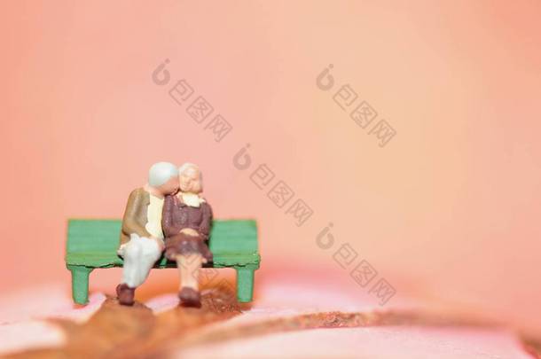 一个老夫妇的爱情微型坐在长凳上