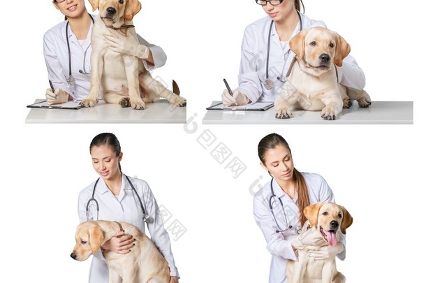 美丽年轻的兽医和一条狗 