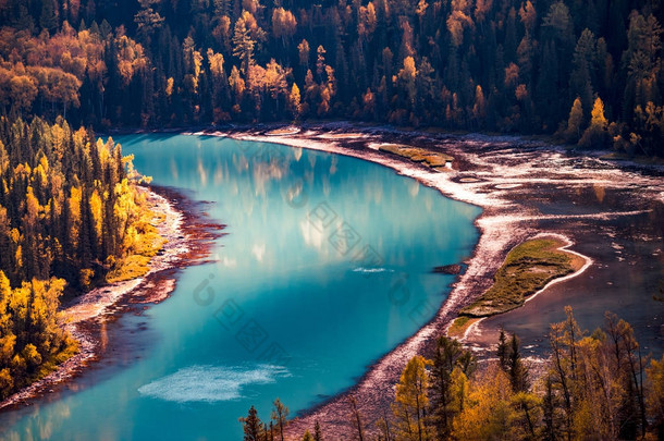 新疆喀纳斯河月亮湾秋天风景