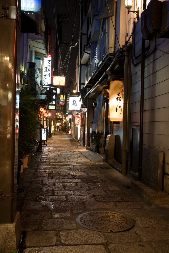 夜巷。大阪。日本.