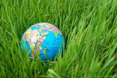 小地球仪在草丛中。旅行和全球问题概念.