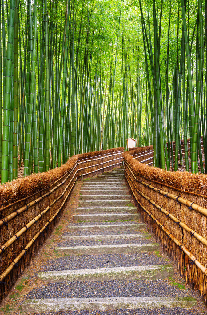 竹子林，岚山，京都，日本的路径