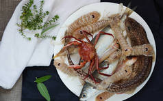 鲜螳螂虾, catshark, 蟹-炖鱼马赛鱼汤的配料