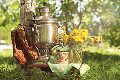 茶炊、 蒲公英的花朵