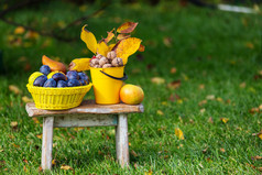 秋季水果和核桃