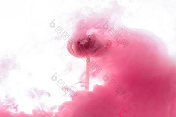 关闭粉红色的花朵和油漆飞溅隔离在白色