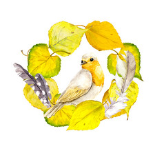 黄色的树叶、 羽毛和鸟秋天花圈框架.