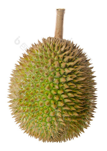 榴莲，水果东南亚地区背景上的国王.图片