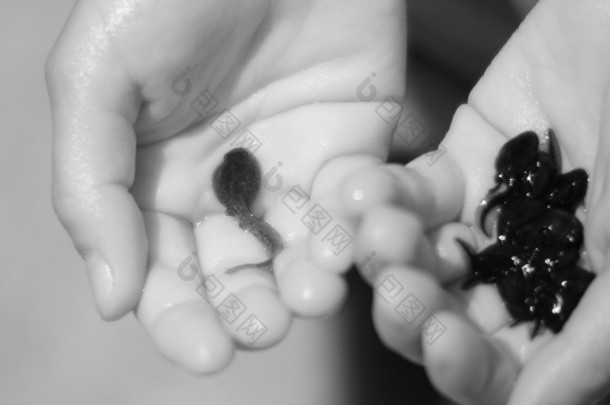 hand of child with many black tadpoles
