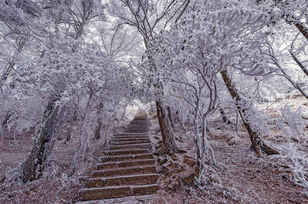 <strong>冬天</strong>的楼梯视图在黄山国家公园.
