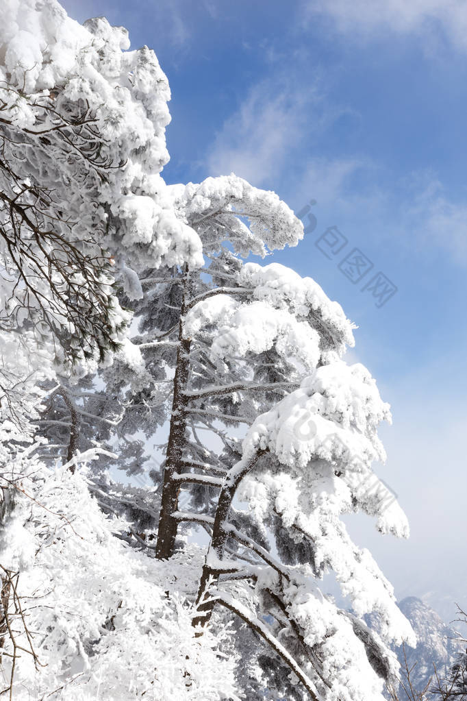 黄山雪景 