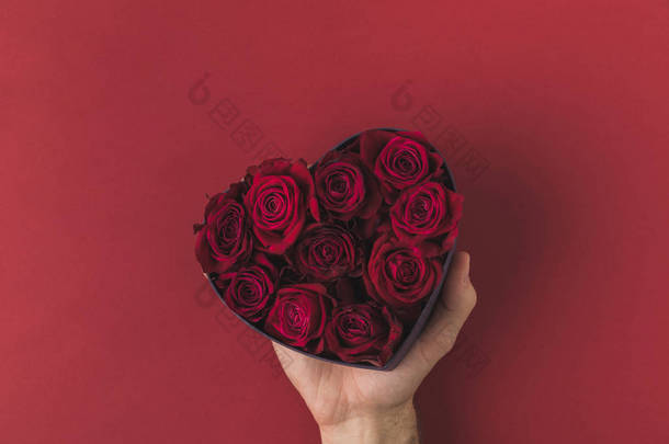 在红色的桌面上, 情人节的概念, 在红心形框的人举行玫瑰拍摄