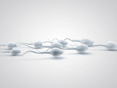冷冻的精子。精子游泳到胚珠在白色背景上的三维图。简约。精子银行.