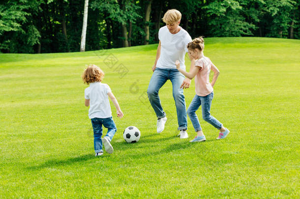 父亲与<strong>孩子</strong>们在<strong>公园</strong>里的踢足球