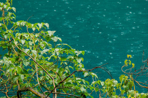 雨在九寨沟公园的叶子后面绕湖水圈
