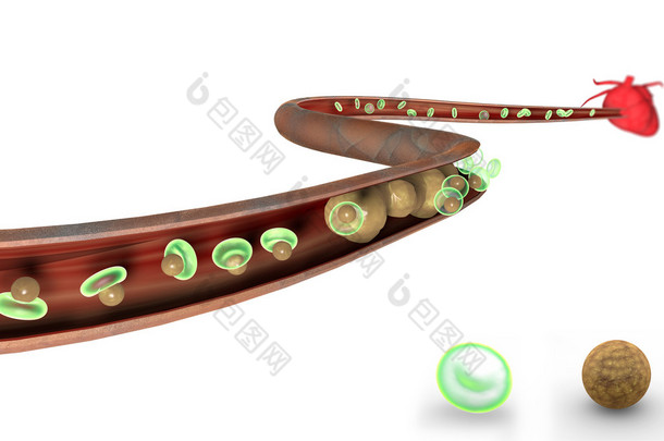胆固醇、 脂肪形成、 <strong>动脉</strong>、 心脏
