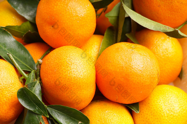 新鲜的有机柑橘