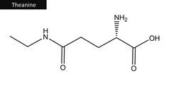 茶氨酸的分子结构