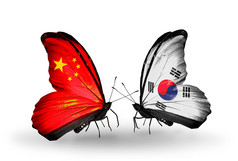带有标志的翅膀象征关系中国和韩国的两只蝴蝶