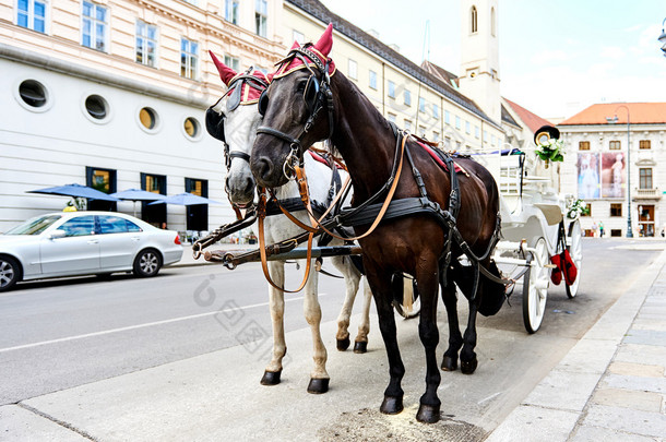 婚礼马车在维也纳，奥地利