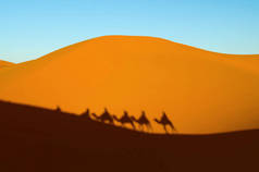 橙色沙丘和人骑骆驼剪影 