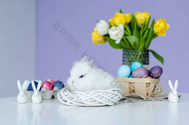 可爱的毛茸茸的兔子在桌子上画鸡蛋与复活节装饰