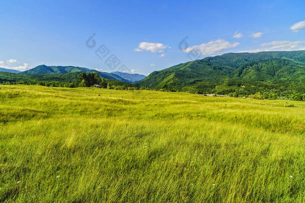 美丽的山景观在喀尔巴阡山