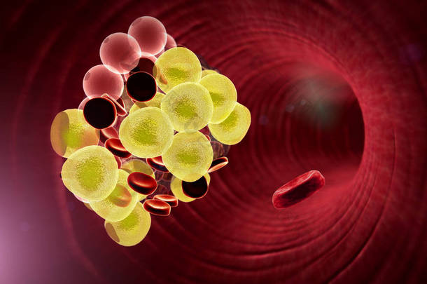 脂肪细胞和<strong>血液</strong>中的红细胞