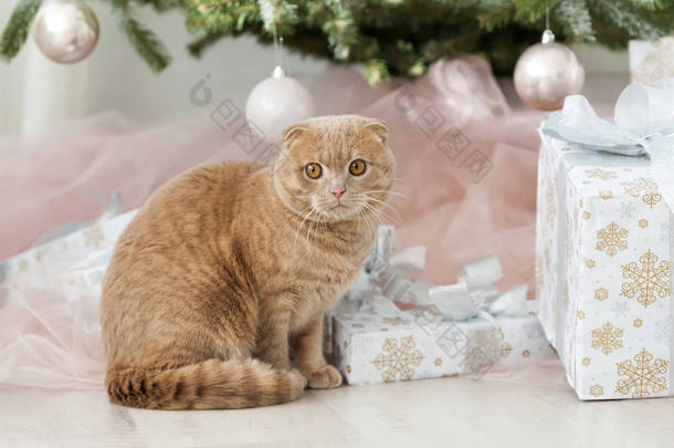 猫用圣诞树和礼品