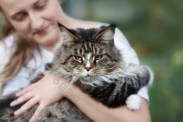 他的脸上带着好奇以外缅因库恩猫.