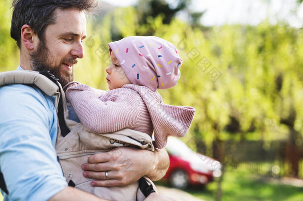 一个父亲与他的蹒跚学步的女儿在一个婴儿承运人在外面的春天散步.