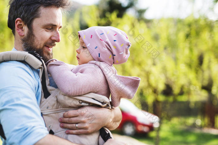 一个父亲与他的蹒跚学步的女儿在一个婴儿承运人在外面的春天散步.