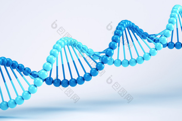 在白蛋白上分离的<strong>DNA</strong>