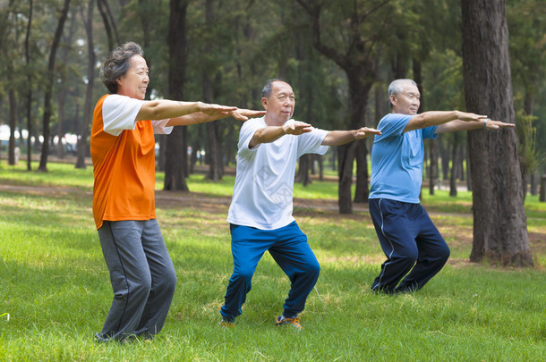 老年朋友或家人做体操在公园里