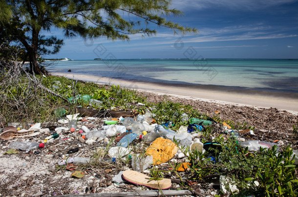冲上海滩的塑料垃圾